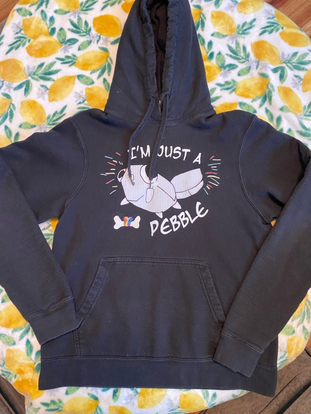 I'm Just a Pebble DANDYS WORLD Hoodie - Black